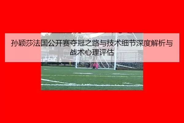 sun-ying-sha-fa-guo-gong-kai-sai-duo-guan-zhi-lu-yu-ji-shu-xi-jie-shen-du-jie-xi-yu-zhan-shu-xin-li-ping-gu-2-832.jpg